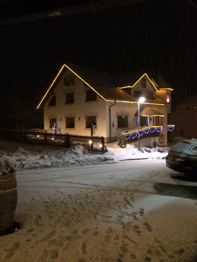 Hotel Alpenhof Markneukirchen المظهر الخارجي الصورة